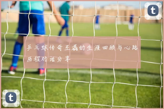 乒乓球传奇王磊的生涯回顾与心路历程对话分享