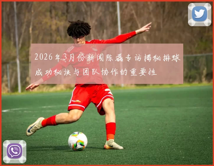 2026年3月份新闻陈磊专访揭秘排球成功秘诀与团队协作的重要性